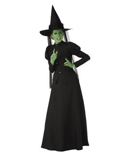 Wicked Witch Elite Adult Costume