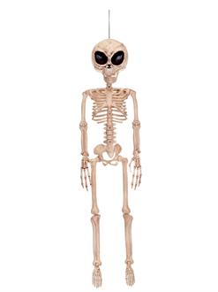 Alien Skeleton