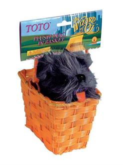 Toto Tm In A Basket