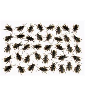 Bag O Roaches