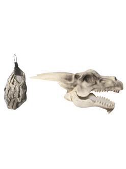 6 Dragon Skull Set