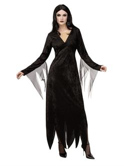 The Addams Family Morticia Adult Costume