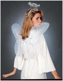 Adult Angel Accessory Kit