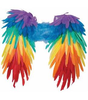 Rainbow Feather Wings