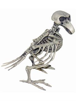 Skeleton Bird
