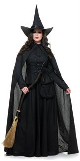 Wicked Witch Costume