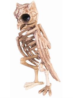 Skeleton Owl