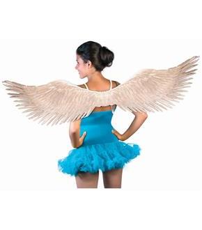 Feather Wings Silver