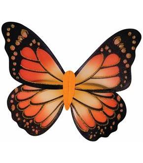 Monarch Butterfly Wings