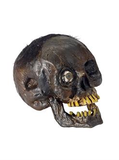 Rotten Head Prop