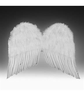 Feather Wings