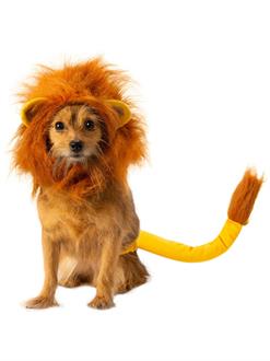 Pet The Lion King Simba Accessory Set