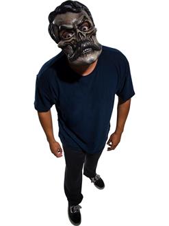 señor Revolución