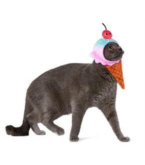 Yummy World Ice Cream Waffle Cone Pet Headpiece Accessory