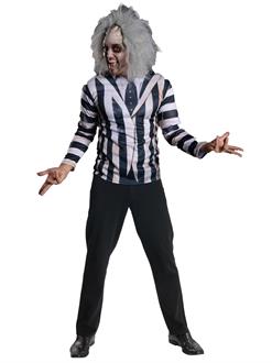Adult Beetlejuice Costume Kit (STD)