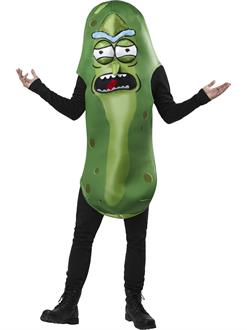 Rick and Morty: Pickle Rick Adult Costume 