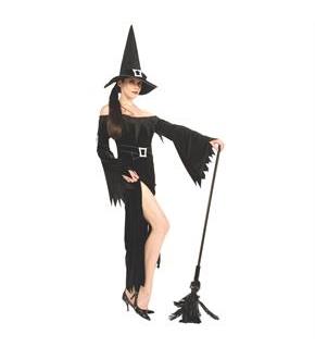 Womens Sexy Wicked Witch Costume