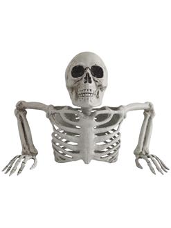 Skeleton Groundbreaker