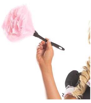Feather Duster