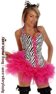 4 PC Pin-Up Zebra Costume