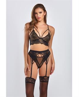 Everly Dot Mesh and Galloon Lace Strappy Bra, Garterbelt and Hipster Panty Black