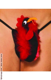 Alluring Rooster pouch