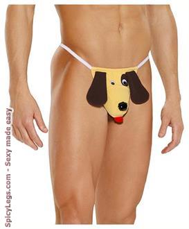 Dog pouch.