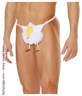 Stork Pouch