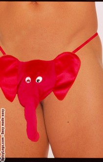 Mr Peanuts pouch