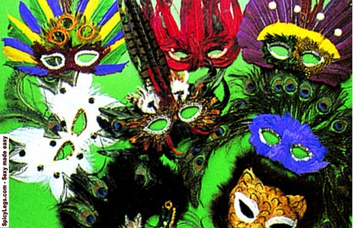 Assortment of feather masks Costume