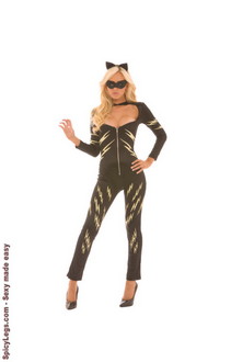 3 pc. Allie Kat costume