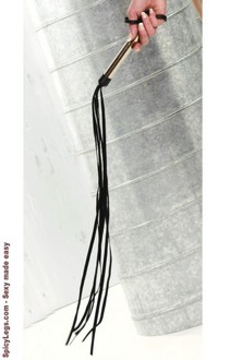 Leather whip with silver handle