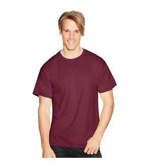 Hanes ComfortBlend EcoSmart Crewneck Men's T-Shirt