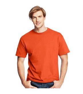 Hanes Men's TAGLESS ComfortSoft Crewneck T-Shirt