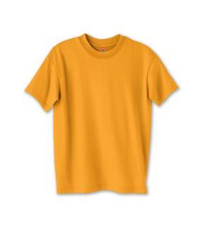 Hanes Kids' ComfortBlend EcoSmart Crewneck