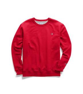 Champion Big & Tall Men's Fleece Sweatshirt