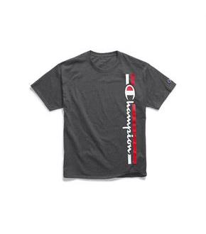 Champion Men's Classic Jersey Tee, Vertical Logo