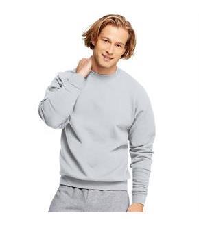 Hanes ComfortBlend EcoSmart Crew Sweatshirt