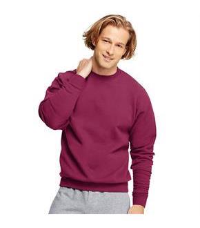 Hanes ComfortBlend EcoSmart Crew Sweatshirt
