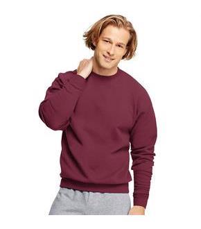 Hanes ComfortBlend EcoSmart Crew Sweatshirt