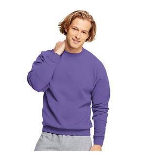 Hanes ComfortBlend EcoSmart Crew Sweatshirt