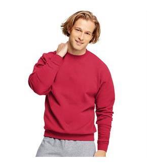 Hanes ComfortBlend EcoSmart Crew Sweatshirt