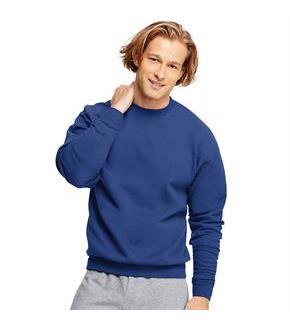 Hanes ComfortBlend EcoSmart Crew Sweatshirt