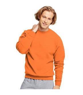 Hanes ComfortBlend EcoSmart Crew Sweatshirt