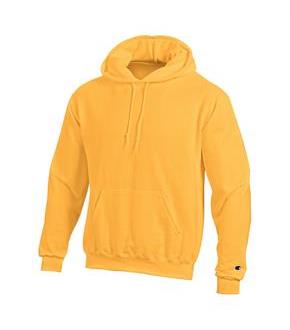 Champion Double Dry Action Fleece Pullover Hood