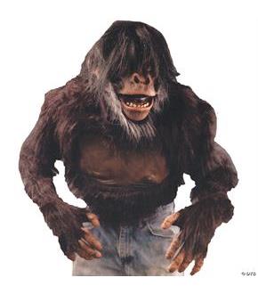 Chimp Shirt