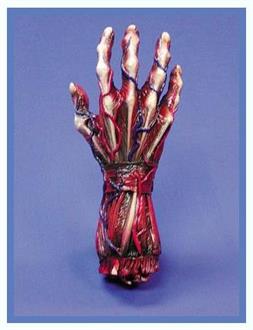 Skinned Right Hand Decoration Prop