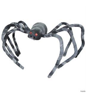 Spider Black White 22 Inch