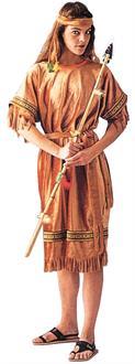 Indian Maiden Costume