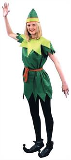 Peter Pan Lady Adult Costume